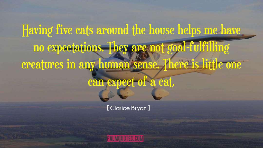 Stray Cats quotes by Clarice Bryan