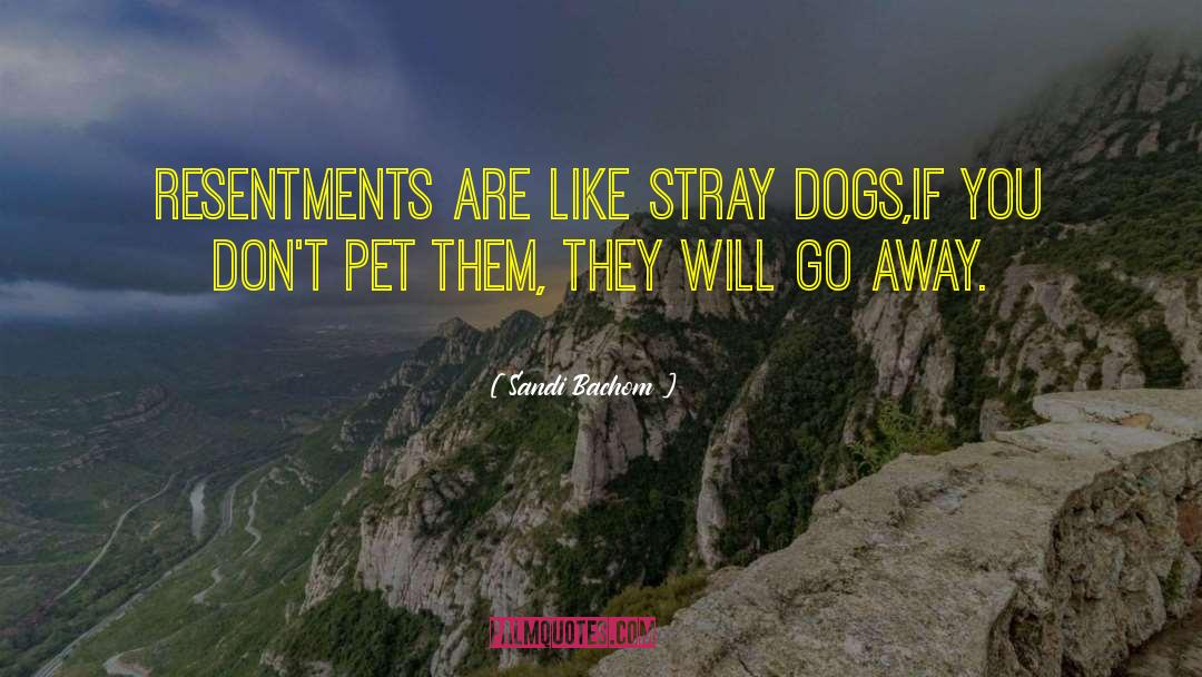 Stray Dogs quotes by Sandi Bachom