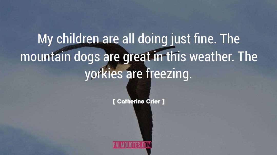 Stray Dogs quotes by Catherine Crier