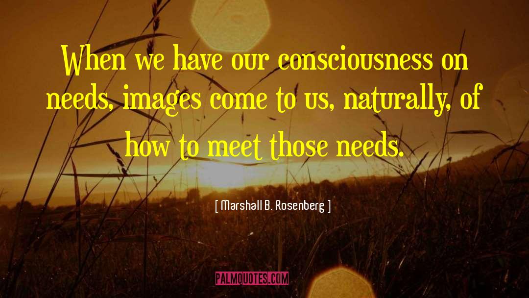 Stream Of Consciousness quotes by Marshall B. Rosenberg