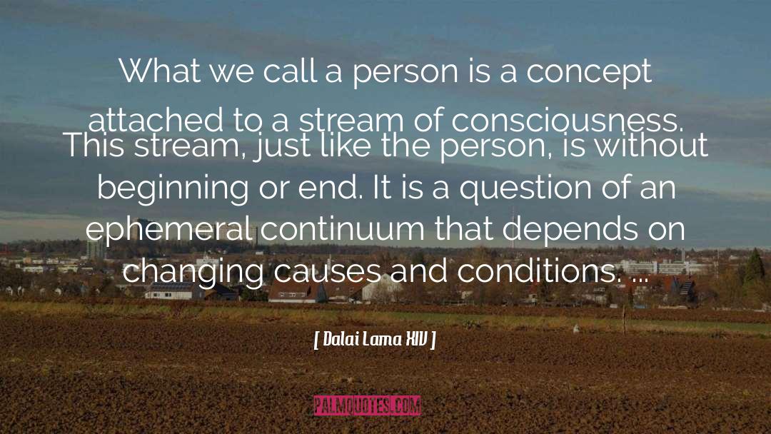 Stream Of Consciousness quotes by Dalai Lama XIV