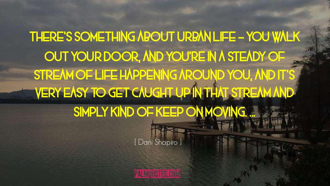 Stream Of Life quotes by Dani Shapiro