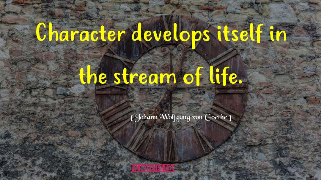 Stream Of Life quotes by Johann Wolfgang Von Goethe