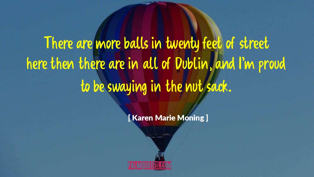 Street Entertainment quotes by Karen Marie Moning