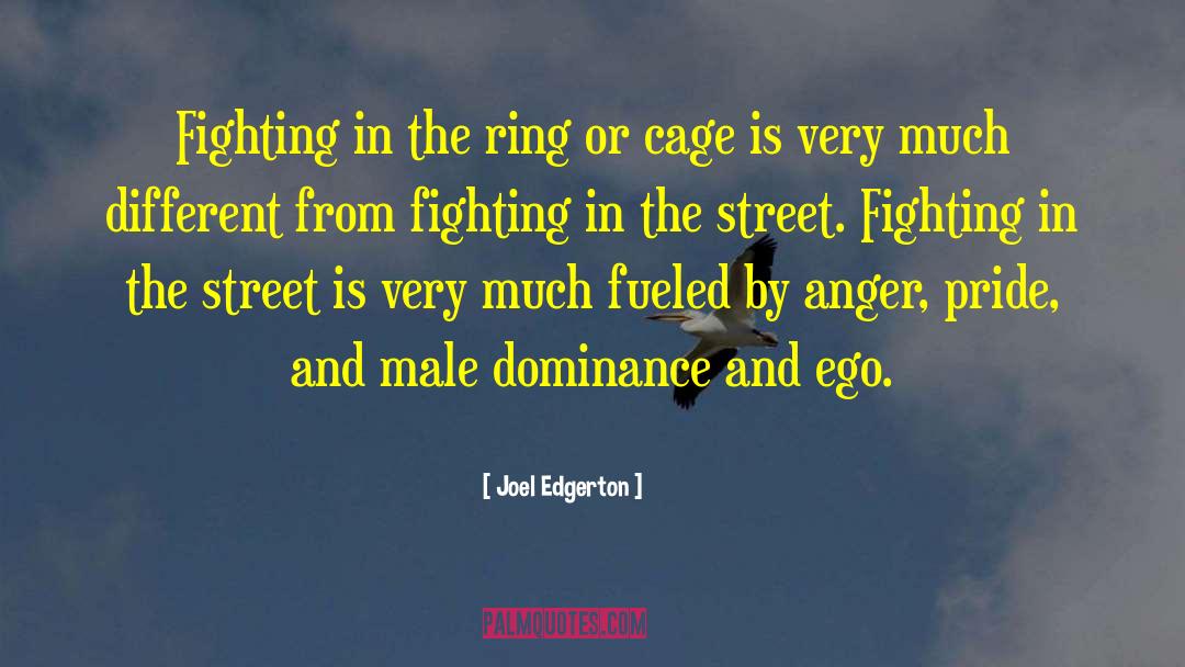 Street Fighting quotes by Joel Edgerton