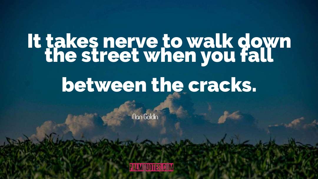 Street Gang quotes by Nan Goldin