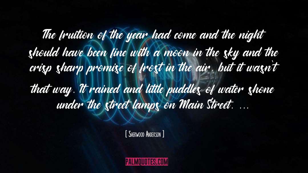 Street Lamps quotes by Sherwood Anderson