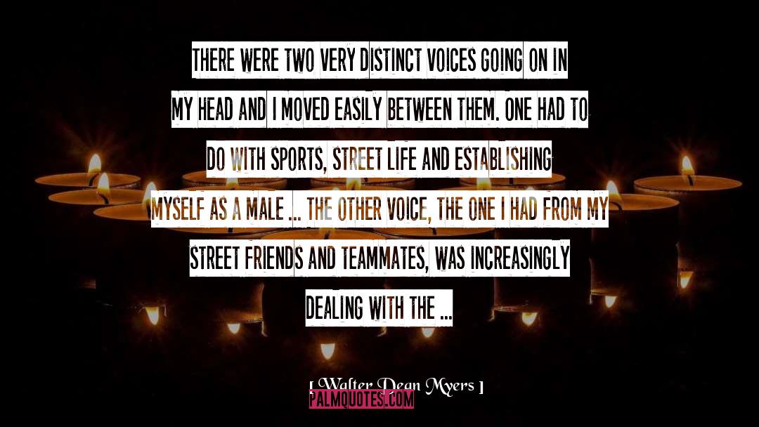 Street Life quotes by Walter Dean Myers
