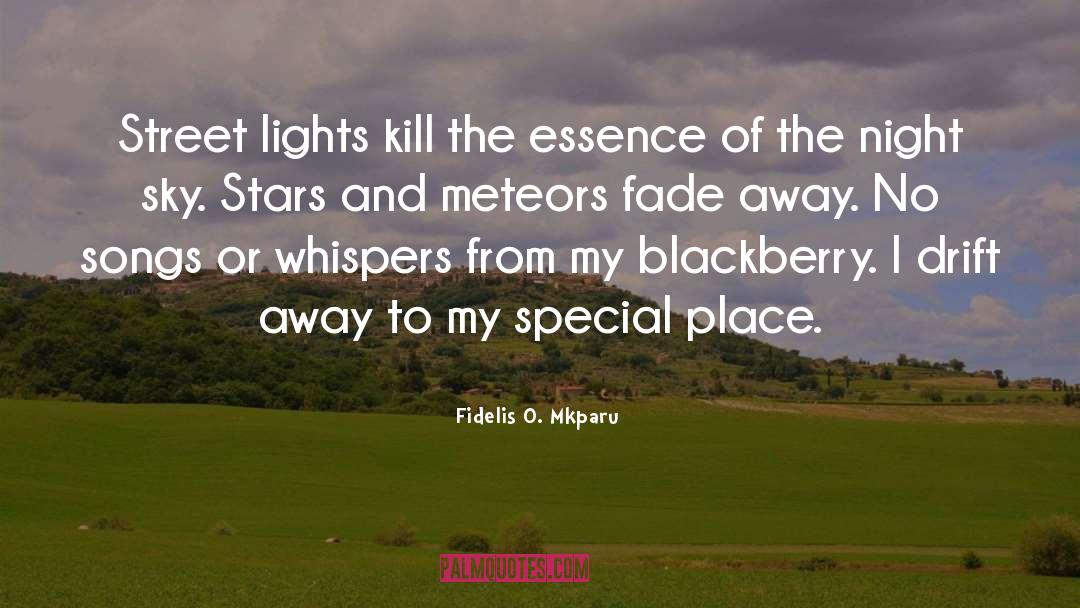 Street Lights quotes by Fidelis O. Mkparu