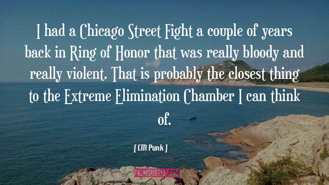 Street Musician quotes by CM Punk