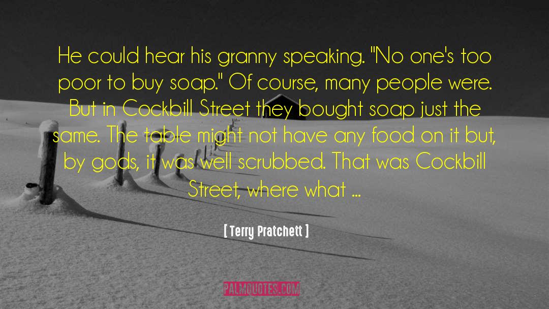 Street Photo quotes by Terry Pratchett