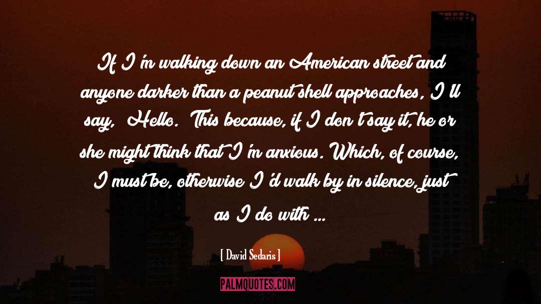 Street quotes by David Sedaris