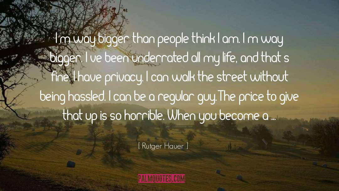 Street Seller quotes by Rutger Hauer