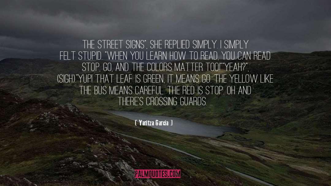 Street Violence quotes by Yaritza Garcia