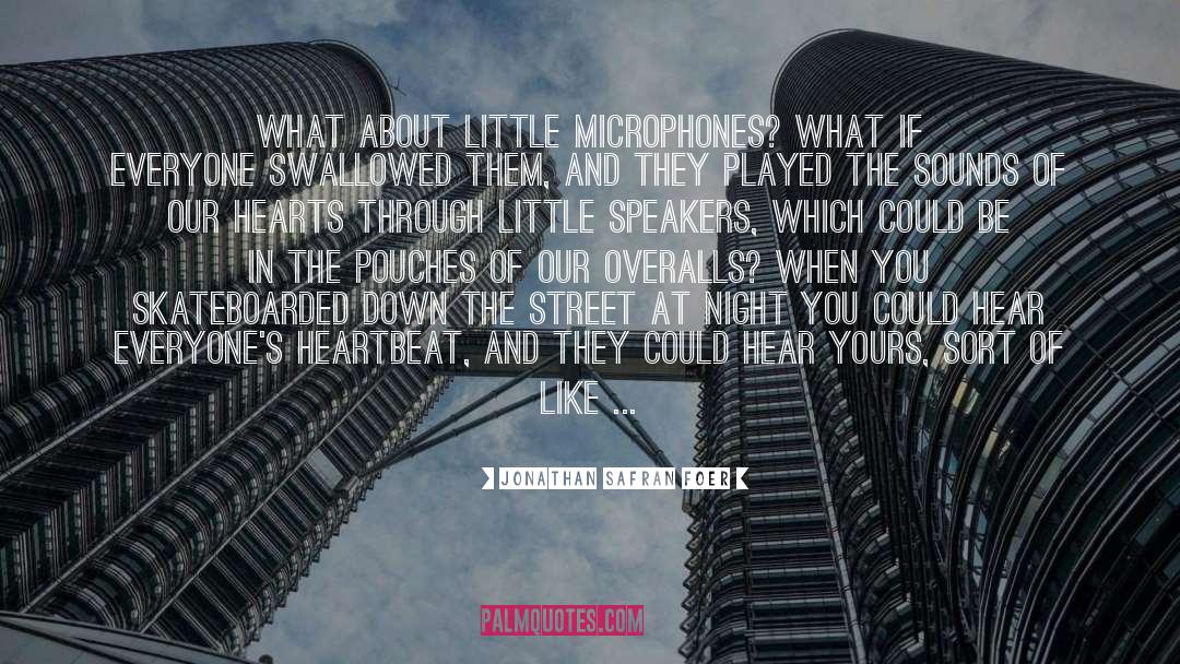 Street Walkers quotes by Jonathan Safran Foer