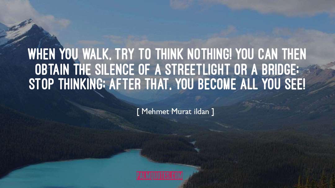 Streetlight quotes by Mehmet Murat Ildan