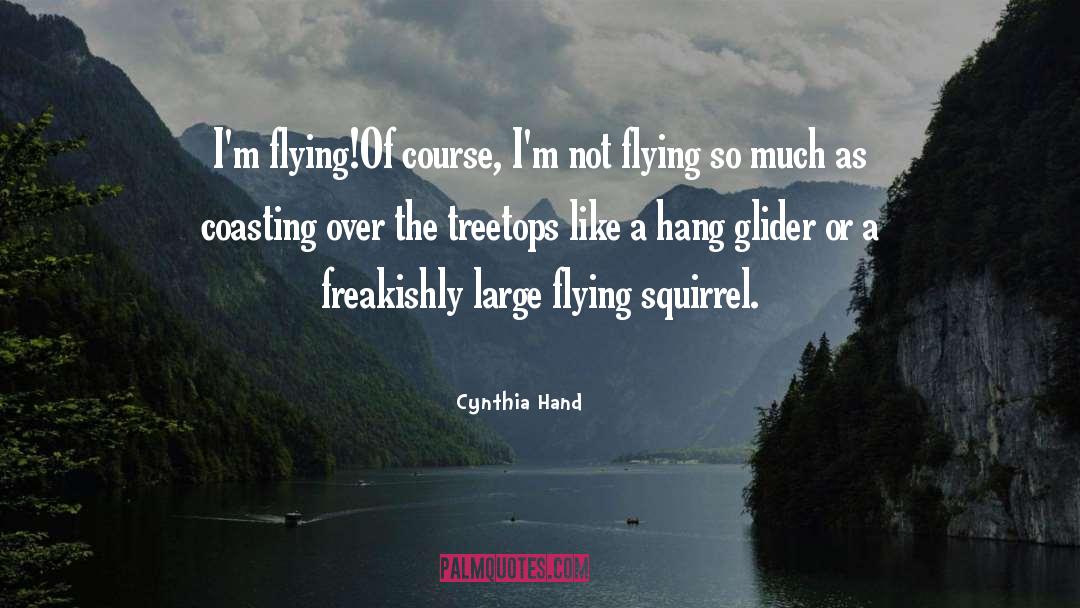 Streifeneder Glider quotes by Cynthia Hand