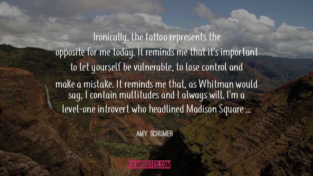 Strength And Comfort quotes by Amy Schumer
