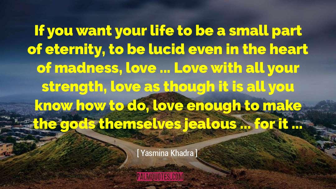 Strength In Unity quotes by Yasmina Khadra