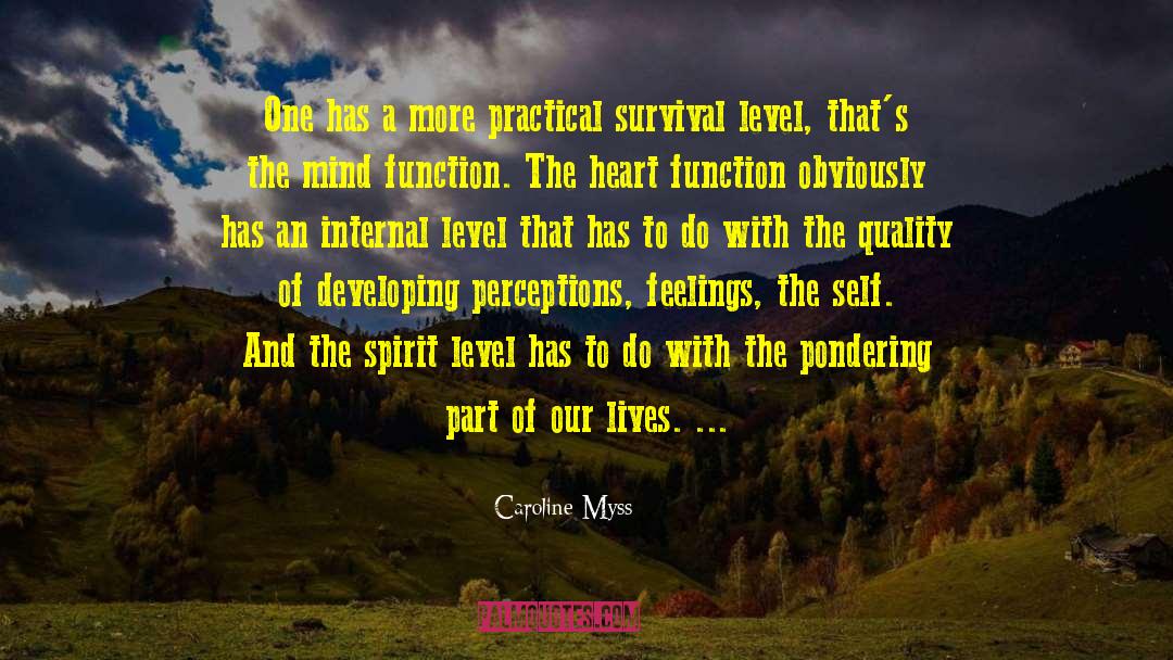 Strength Of Spirit quotes by Caroline Myss