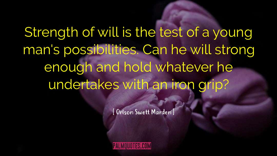 Strength Of Will quotes by Orison Swett Marden