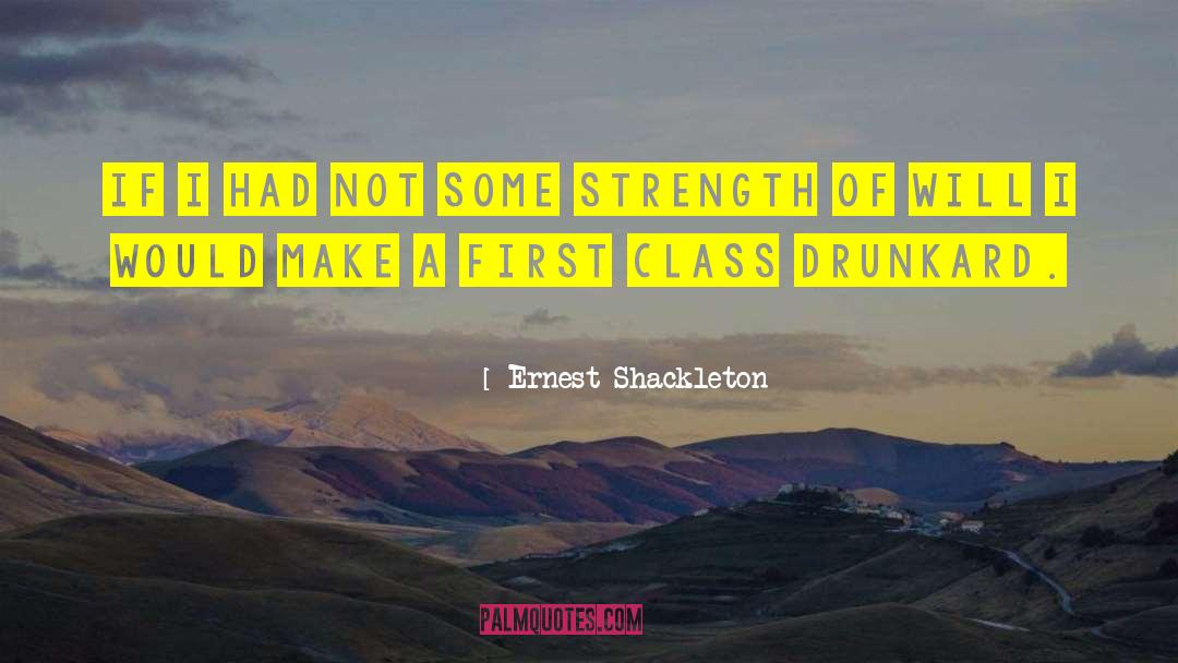 Strength Of Will quotes by Ernest Shackleton