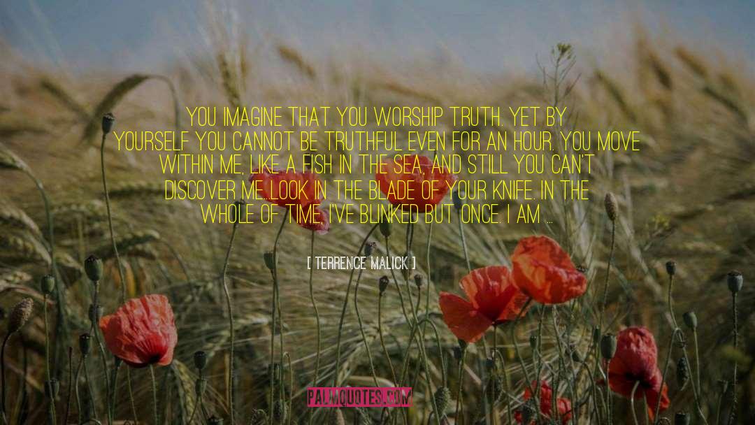 Strength That Lies Within You quotes by Terrence Malick
