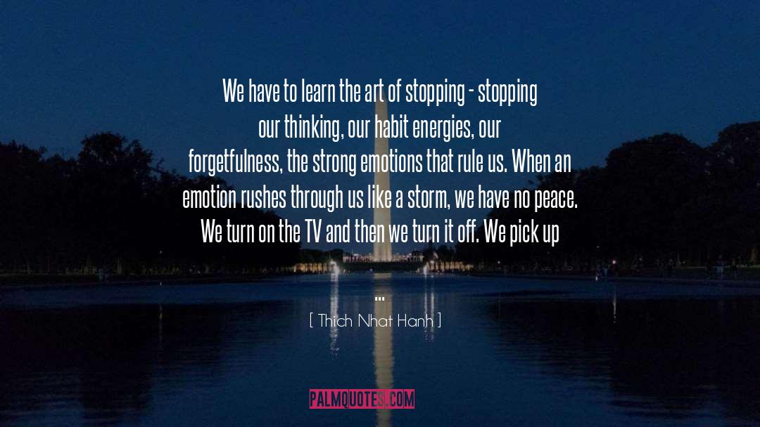 Strength Through The Storm quotes by Thich Nhat Hanh