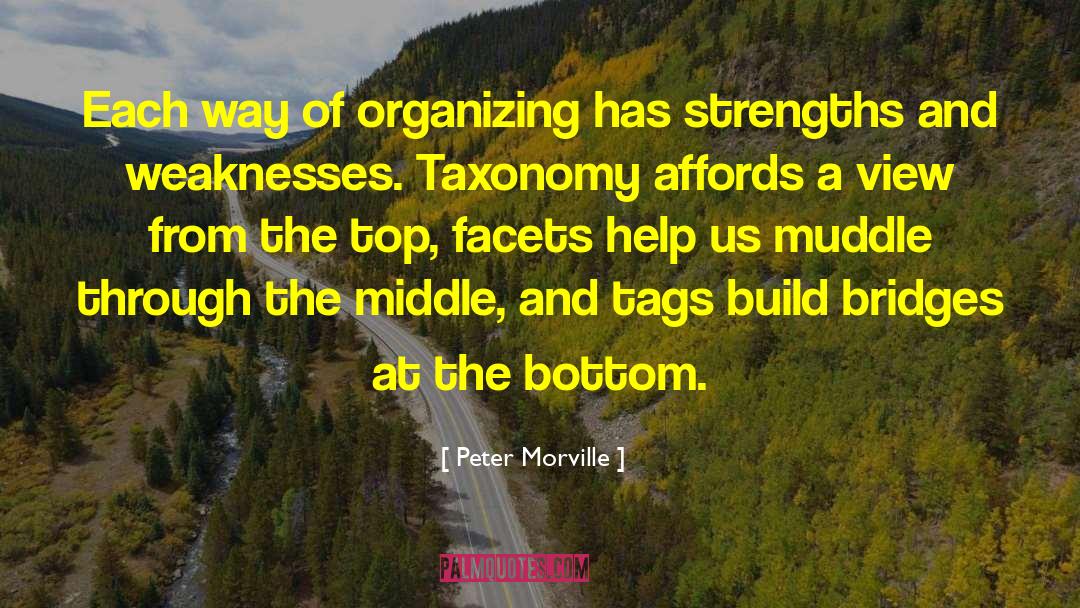 Strengths And Weaknesses quotes by Peter Morville