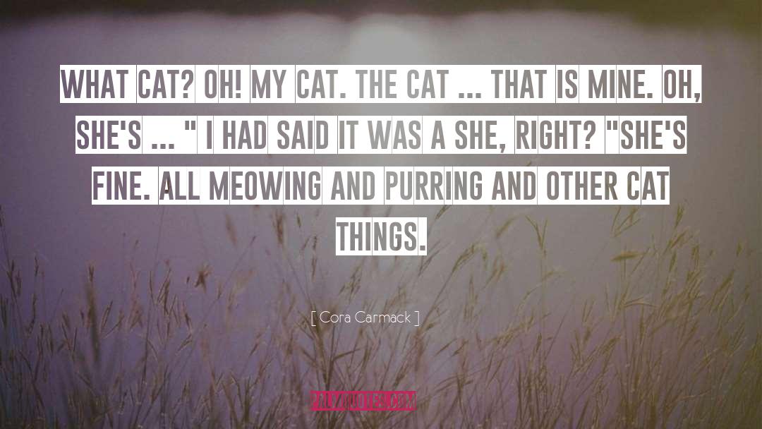 Stress Cat quotes by Cora Carmack