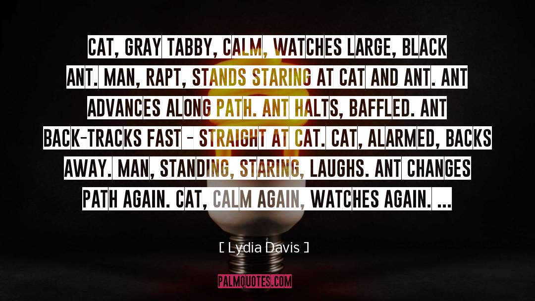 Stress Cat quotes by Lydia Davis