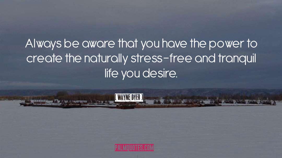 Stress Cat quotes by Wayne Dyer