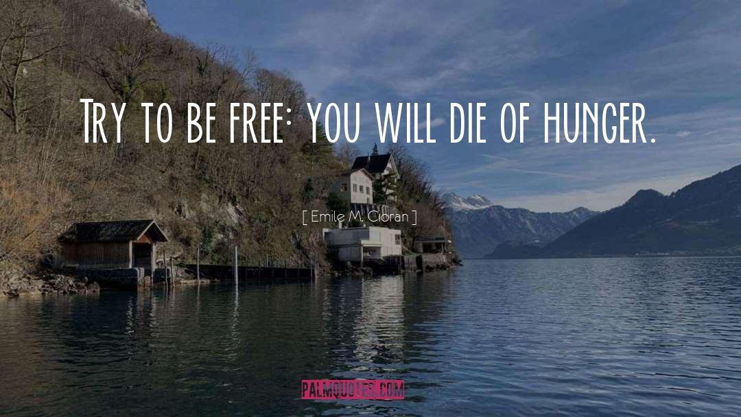 Stress Free quotes by Emile M. Cioran