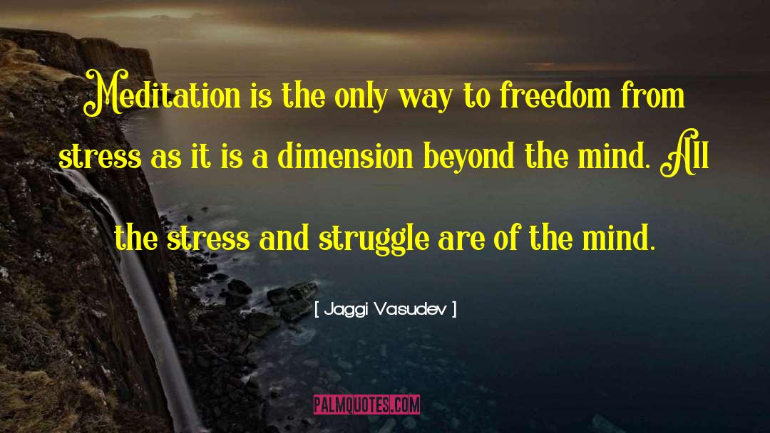 Stress Of Holidays quotes by Jaggi Vasudev