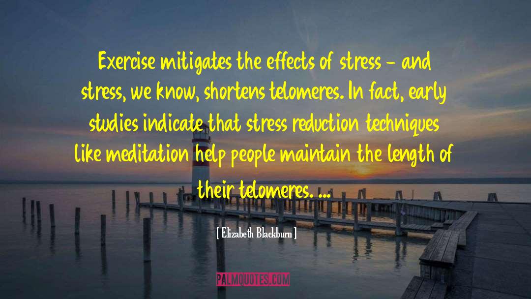 Stress Of Holidays quotes by Elizabeth Blackburn