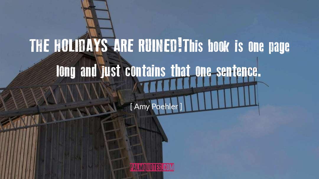 Stress Of Holidays quotes by Amy Poehler