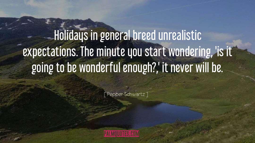 Stress Of Holidays quotes by Pepper Schwartz