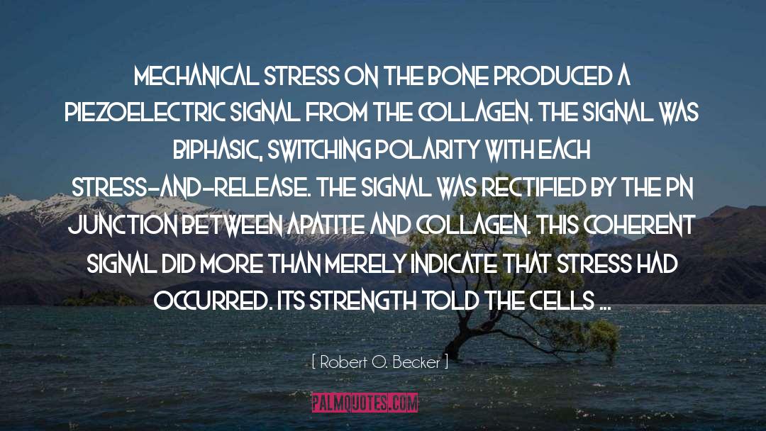 Stress Relaxation quotes by Robert O. Becker