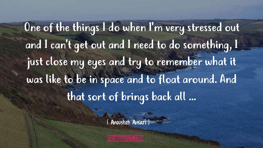 Stressed Out quotes by Anousheh Ansari
