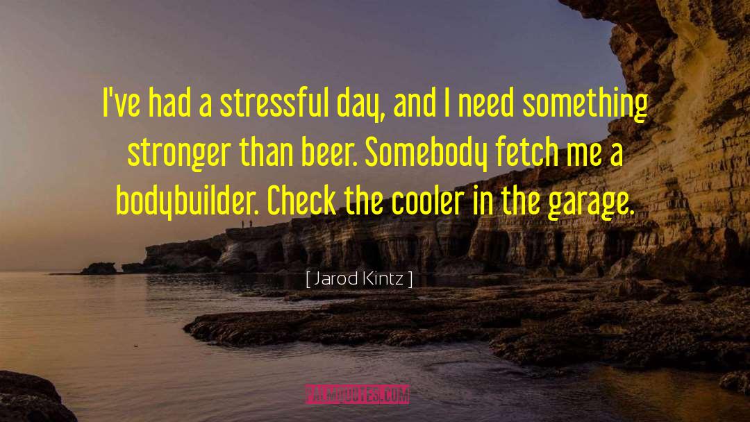 Stressful Day quotes by Jarod Kintz