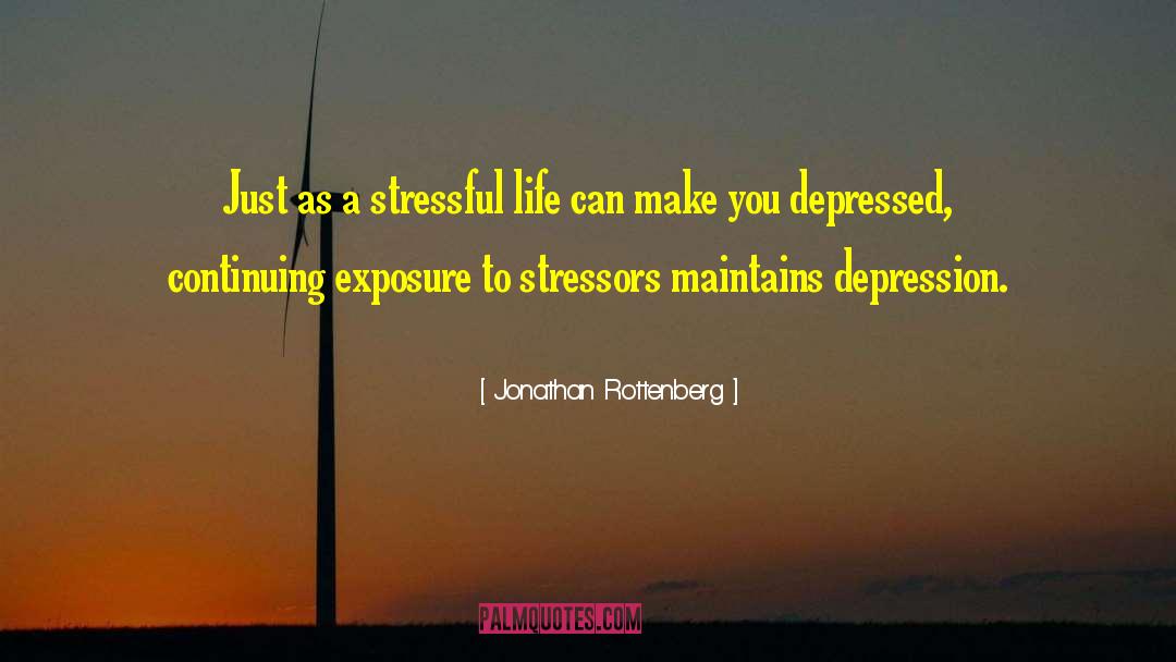 Stressors quotes by Jonathan Rottenberg