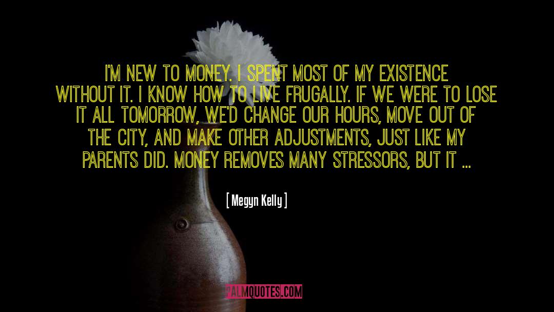 Stressors quotes by Megyn Kelly