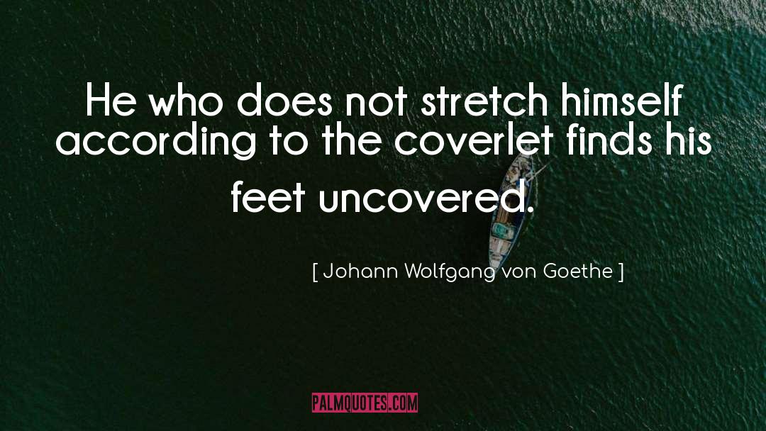 Stretch Marks quotes by Johann Wolfgang Von Goethe