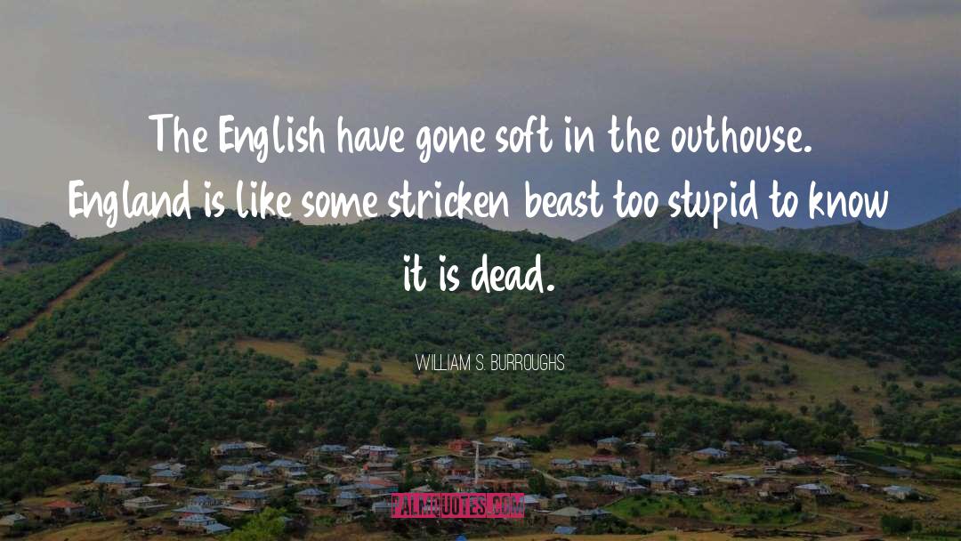 Stricken quotes by William S. Burroughs