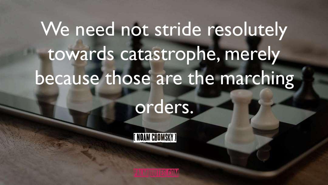 Stride quotes by Noam Chomsky