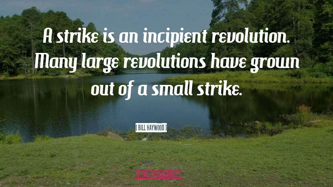 Strike quotes by Bill Haywood