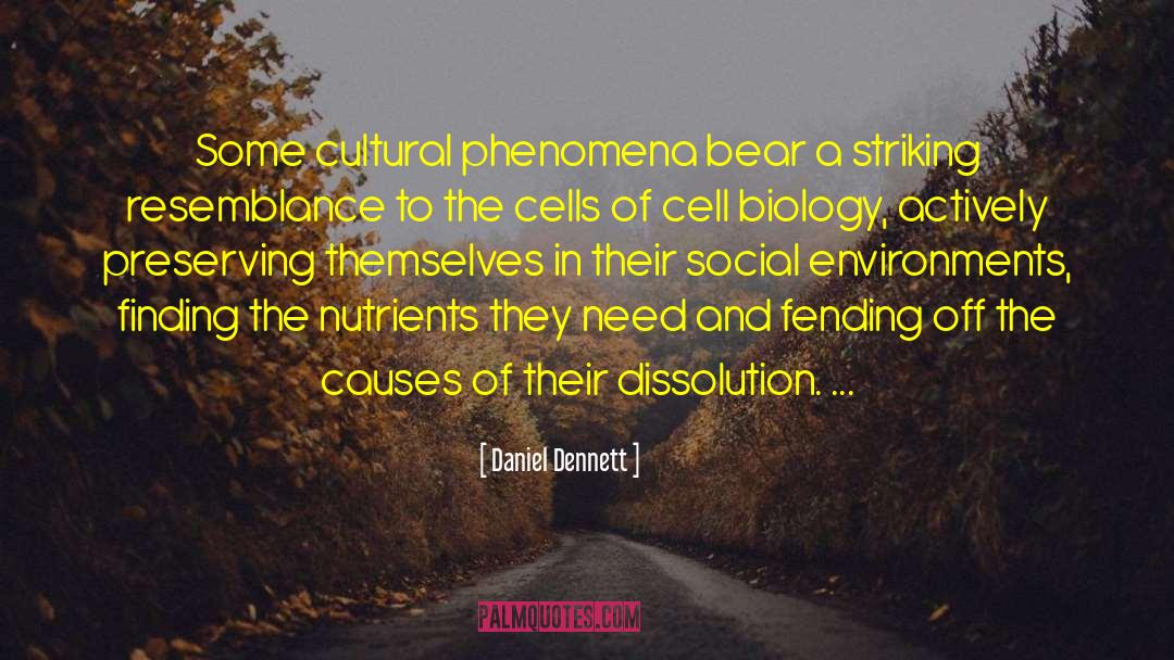 Striking quotes by Daniel Dennett