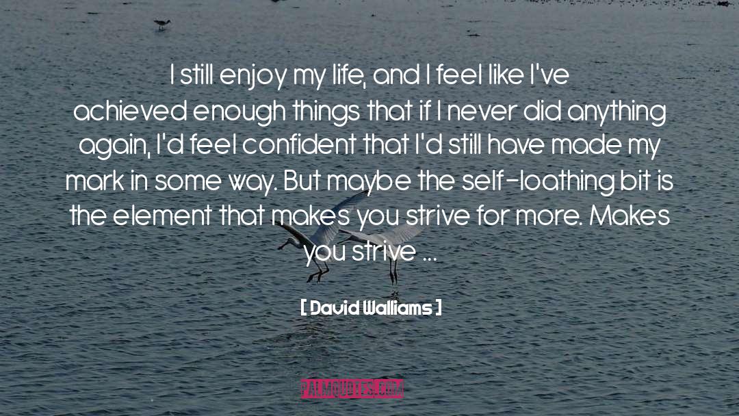 Strive For More quotes by David Walliams