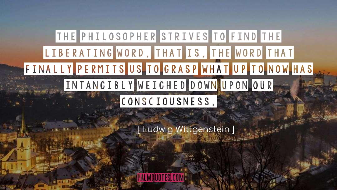 Strives quotes by Ludwig Wittgenstein