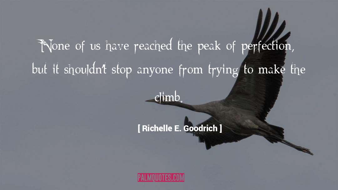 Striving For Perfection quotes by Richelle E. Goodrich